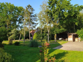 Mooroase - Bauerngarten